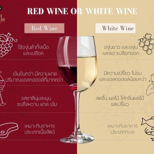 RED WINE OR WHITE WINE